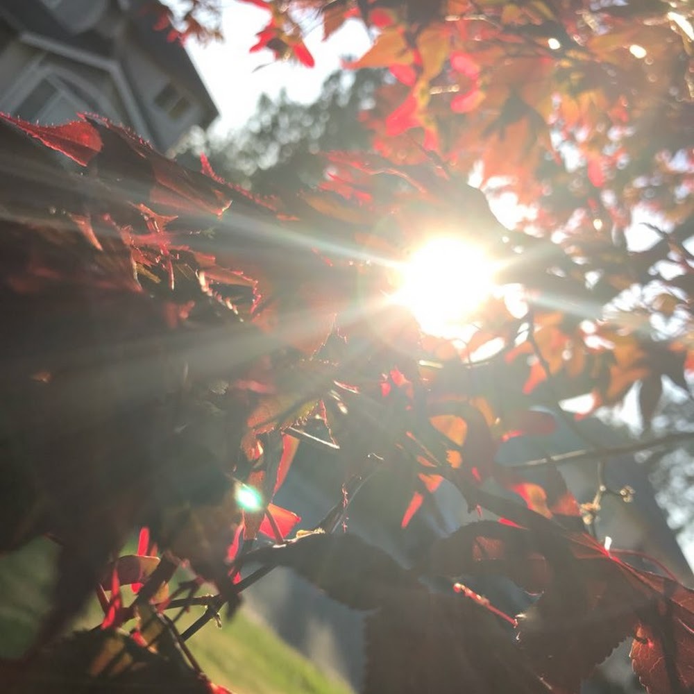 Meet your Posher, Sophia